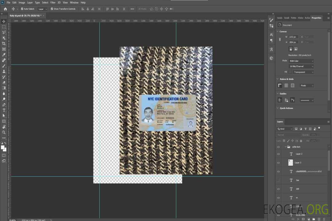 USA New York ID photolook AVANT template USA New York ID photolook AVANT template